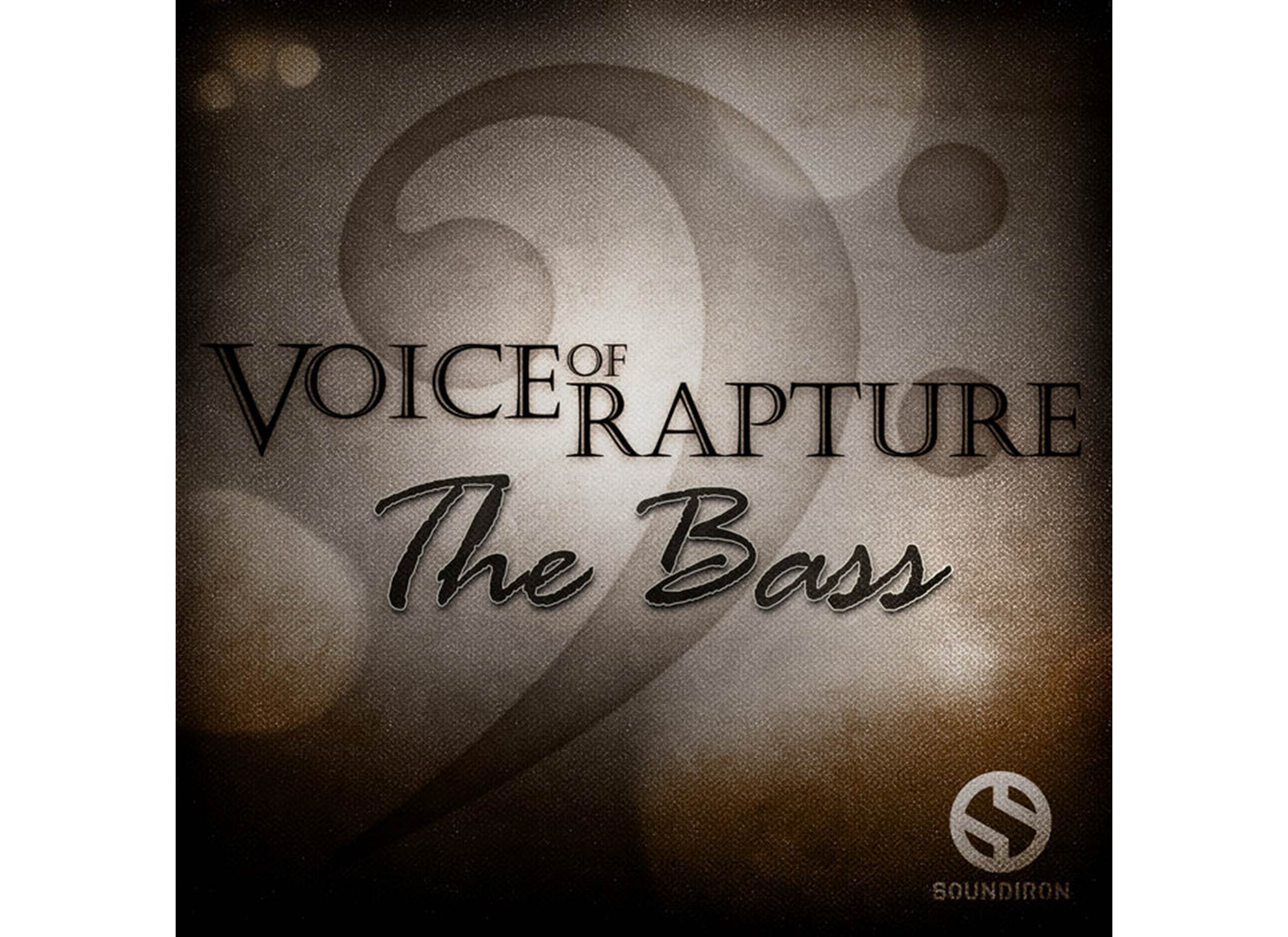 Voice of Rapture: The Bass