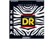 Zebra Acoustic 11-50