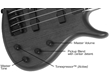 Toby Deluxe IV Bass Trans Amber
