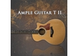 Ample Guitar T III
