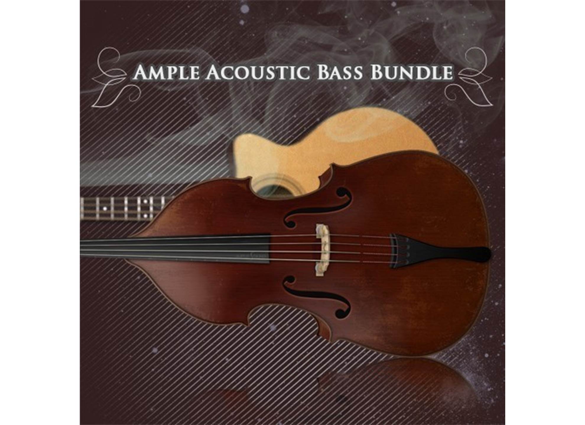 2 in 1 Acoustic Bass Bundle