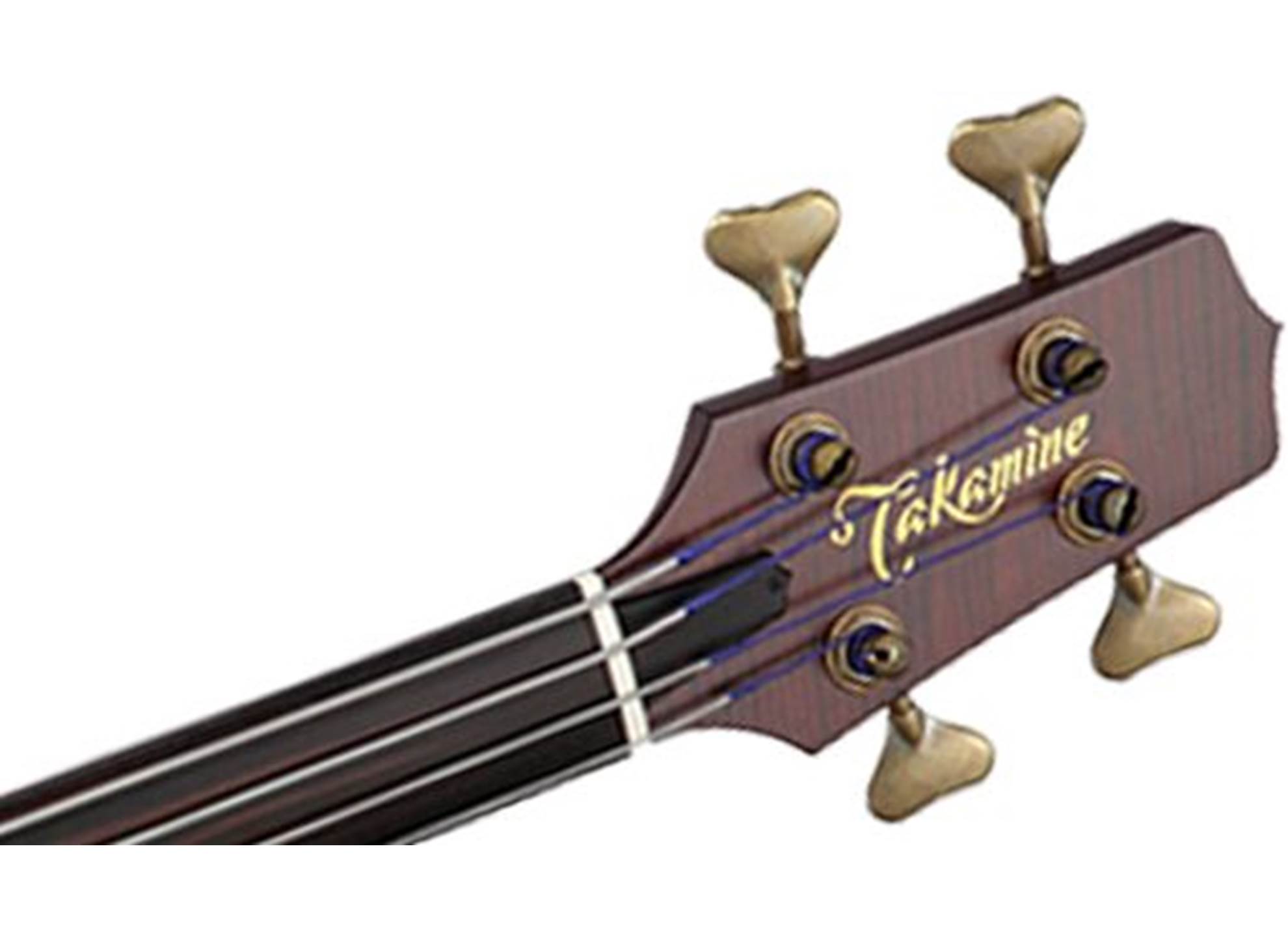 TB10 Bass