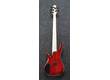 ANB205-TWB Transparent Wine Red Burst Adam Nitti signature