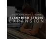 Steven Slate Drums Blackbird Expansion
