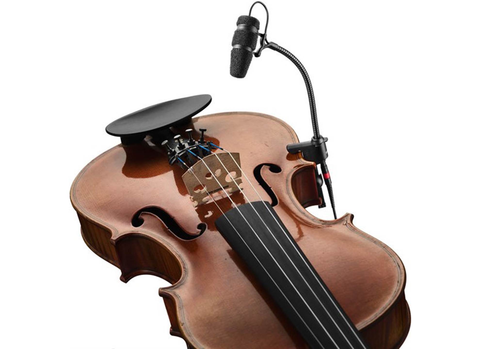 4099 Core Violin