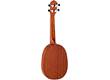 RUPA5MM-E Concert Pinapple Spruce Top