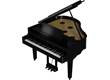 GP-9M Polished Ebony
