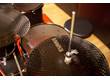 Tama Imperialstar - Evans Low Volume Kit